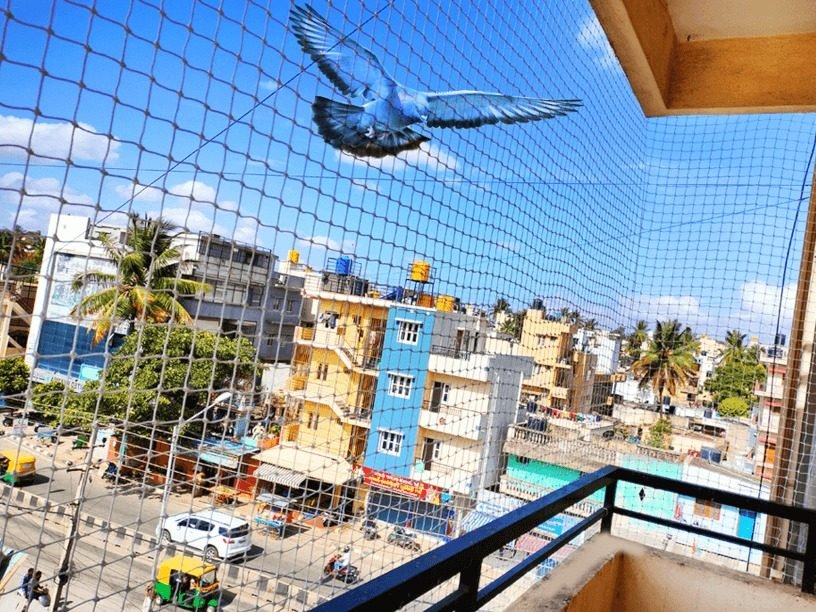 Pigeon Safety Nets installation photo by AJD Enterprises, Chennai